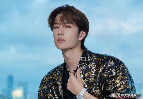 爆料娱乐王一博事件视频,真相与争议交织