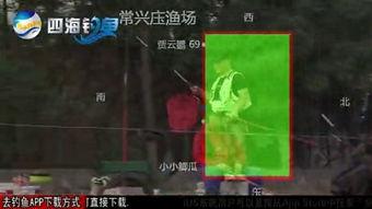 黑坑江湖爆料视频下载免费,免费下载爆料视频背后的秘密